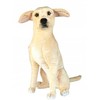 Dubi Pies Labrador 65cm 33574