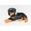 Dubi Pies rotwailer 47cm 32492