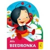 Foksal The Nice Ladybug Edition III 95865