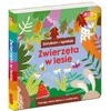 Egmonto akademija...Miško gyvūnai 86732
