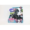 justplay Hasbro *****FRF Prancūzų buldogas vaikščiojantis su pavadėliu 81617