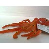 Hipo Hab aštuonkojis su žirneliais 18 cm HAB022 36 vnt./diskis 62970