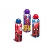 Gertuvė Kids Euroswan Hiszpania *****Bidon aluminiowy Frozen CD2108 FR50002 55051