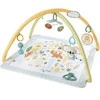 „Fisher Price Newborn“ – „Simply Senses“ naujagimio sporto salė (HRB15)