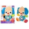 Fisher Price Interaktyvus talismanas šuniukas moksleivis (lenk./angl./cz/sl./hu)