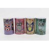 Midex SPALVOTAS OWL PIGGY BANK GALI ĮVAIRIŲ SPALVŲ