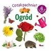Morex Co tak pachnie? Ogród 14706