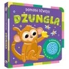 Morex Dopasuj dwięki Dżungla 15895