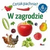 Morex Kas čia per kvapas? Kieme 14713