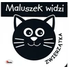 Morex Maluszek widzi zwierzątka 2024 14591