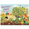 Morex Przyklejaj odklejaj Baw się! Warzywa i owoce 15994