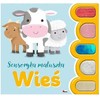 Morex Sensoryka maluszka wie 14287