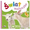 Morex wiat maluszka Wie 58.11.1 11712