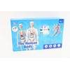 Norimpex *****Model anatomiczny ludzkie ciało 2002087 20875
