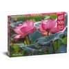 Cherry Pazzi CherryPazzi dėlionė Rožinė Lotus flowers 500 det