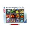 Ravensburger "2D" Dėlionė 1000 vnt. - Stebuklingi eliksyrai