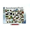 Ravensburger Dėlionė 1500 vnt. - Juokingi gyvūnai