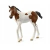 Collecta SCHLEICH HORSE CLUB Paintų veislės kumeliukas