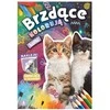 Skrzat Wydawnictwo Brzdšce kolorują Kitties nalk.w. tamsoje.78305