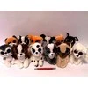 Sun Day Pies P-3160 su balsu 12vnt 15cm 152541