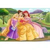Trefl Dėlionė 60 vnt. - Disney princesės + kolekcinis plakatas