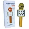 Wk Zabawki Mikrofonas W&amp;K Žaislų mikrofonas JYWK369-1 Auksas