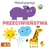 Zielona Sowa ZIELONASOWA Mažylis mokosi anglų kalbos žodžių 94070