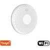 Dūmų ir CO jutiklis Feelspot CS11W WiFi, Tuya
