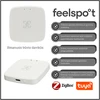 Išmanusis būvio daviklis Feelspot FS-HP01Z Zigbee, Tuya