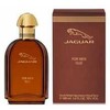 Jaguar Oud For Men EDP parfumuotas vanduo vyrams, 100 ml