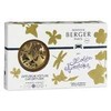 Maison Berger Paris Dovanų rinkinys automobiliniam difuzoriui "Gold + Lolita Lempicka