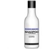 Stapiz Basic Salon Universal Šampūnas