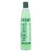 Xpel Tea Tree Šampūnas moterims, 400 ml