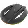 iPega P5S035SAH vertikalus stovas (2xUSB-A) su RGB, skirtas PS5 Slim / PS5 Pro Juodas