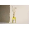 The Olphactory Grace Mint Tea &amp; Basil Fragrance Sticks Aroma Reed Diffuser, 250 ml