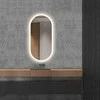 Mirrorsled Skaidrus veidrodis su LED priekiniu apšvietimu 450x1000 (15mm) piliulė