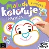 Aksjomat Knyga Spalvinimo Su Beždžionė KS1095