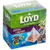 Art Spozywcze Koszyk EXPRESS TEA LOYD BLACKBERRY/BLUEBERRY PUD 20 Vnt