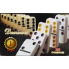 Mega Creative -MC Žaidimas DOMINO MAGN 19X11X3 REAL PUD 60