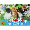 Žaidimas Memosy Cats PLX PUD ALEXANDER 2785 ALX