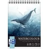 Oxford University Press Oksfordo universiteto spaudos AKMENS SPALVAS OXFART TW A4 10S 300G