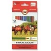 Spalvoti pieštukai tribriauniai KOH-I-NOOR Triocolor Jumbo, ø5,6mm (12) 1301-211