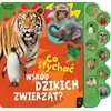 Mokomoji knyga 29x27 cm Kas vyksta tarp laukinių gyvūnų FOKSAL 094765 FOK