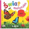Morex wiat maluszka Łška 58.11.1 11767