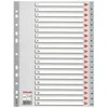 Skiriamieji lapai ESSELTE, 1-20, A4, PP