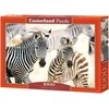 Castorland dėlionė Young Zebras 1000 det