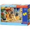 Castorland Dėlionė 120 vnt. - Draugų susibūrimas