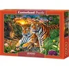 Castorland Dėlionė 2000 vnt. - Tigrų šeima