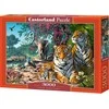 Castorland Dėlionė 3000 vnt. - Tigrai
