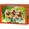 Castorland dėlionė Cute Duchshunds 500 det